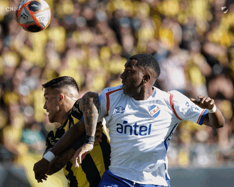 Carneiro