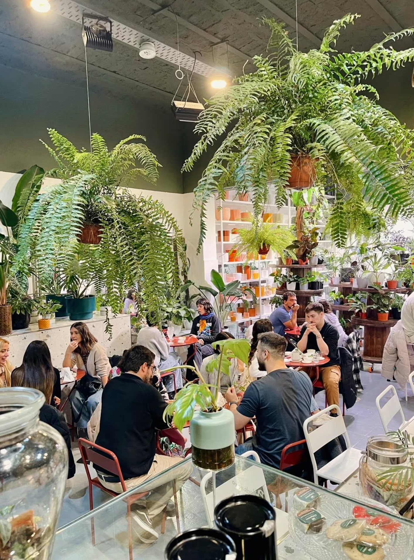 vivero cafe