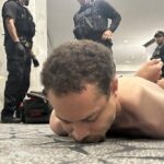 Lobo Solitario Trump